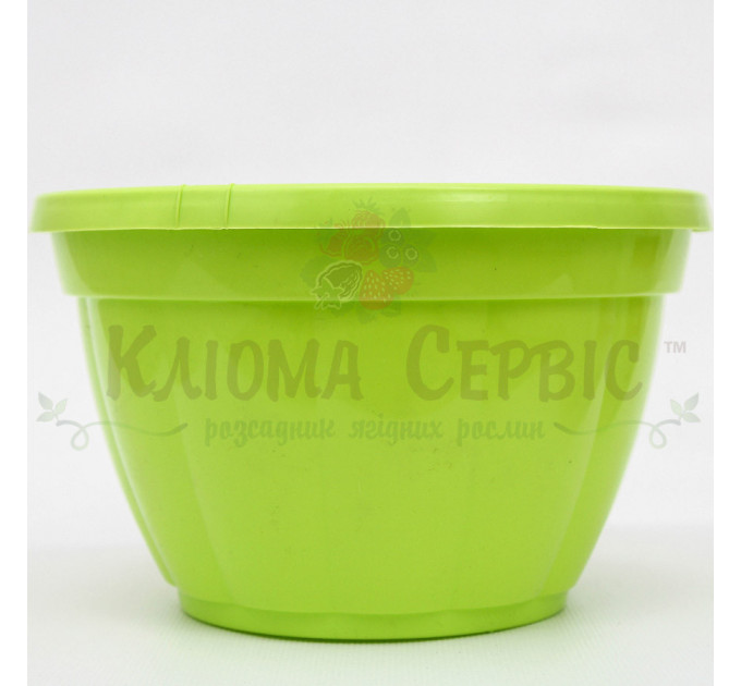 Підвісний горщик для квітів 3.7 л, салатовий (Україна)