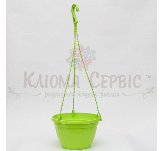 Підвісний горщик для квітів 2.5 л, салатовий (Україна)