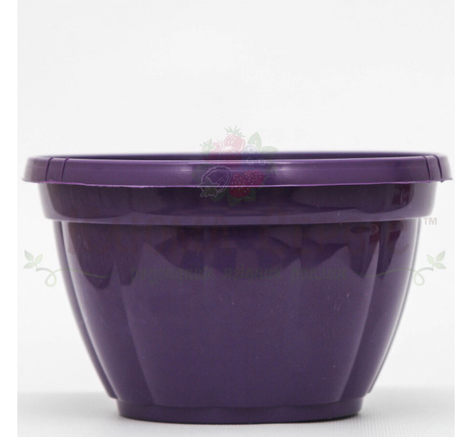Підвісний горщик для квітів 2.5 л, фіолетовий (Україна)