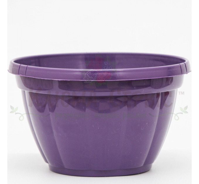 Підвісний горщик для квітів 2.5 л, фіолетовий (Україна)