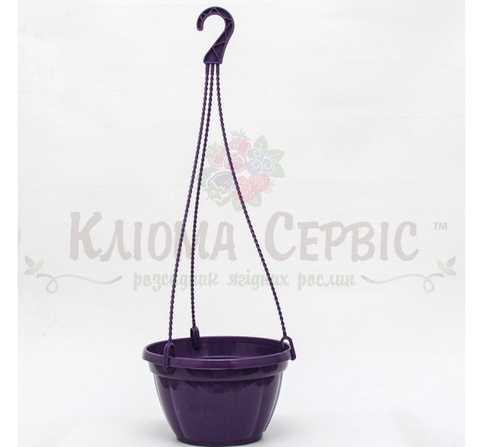 Підвісний горщик для квітів 2.5 л, фіолетовий (Україна)