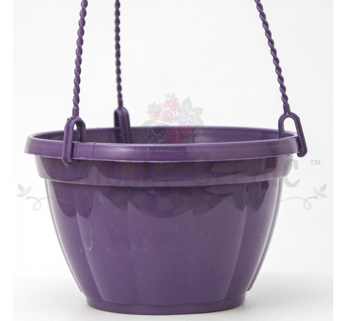 Підвісний горщик для квітів 2.5 л, фіолетовий (Україна)