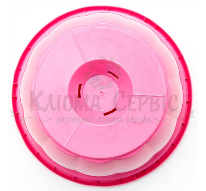 Підвісний горщик для квітів 2.5 л, рожевий (Україна)