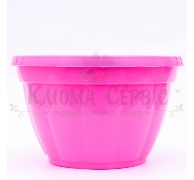 Підвісний горщик для квітів 2.5 л, рожевий (Україна)