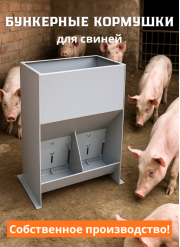 Бункерные кормушки для откорма свиней и поросят