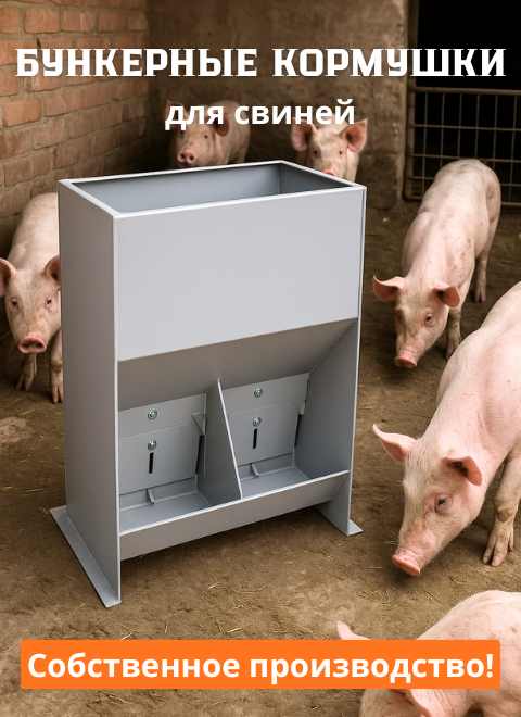 Бункерные кормушки для откорма свиней и поросят