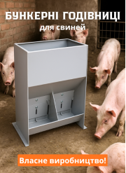 Бункерні годівниці для відкорму свиней та поросят купити в Україні