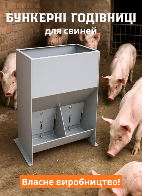 Бункерні годівниці для відкорму свиней та поросят купити в Україні