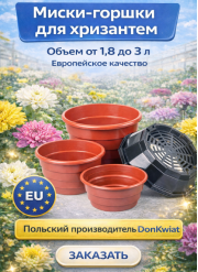 Миски-горшки для хризантем