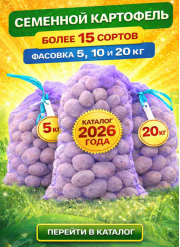 Семенной картофель