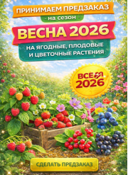 Предзаказы на сезон Весна 2026 года на ягодные растения