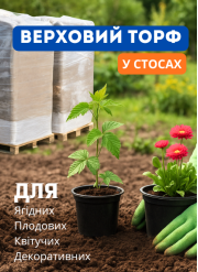 Верховий тофр у стосах для вирощування рослин