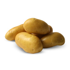 Насіннєва картопля Янкі, 110-120 днів 2 репродукція