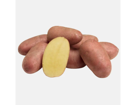 Семенной картофель Алюетт, 80-90 дней 2 репродукция