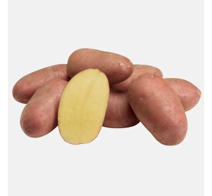 Картопля Алюетт, купити насіннєву картоплю в Україні