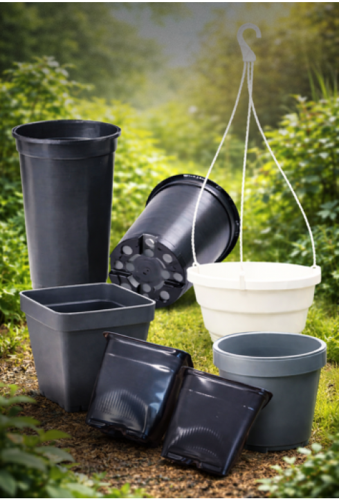 Контейнеры