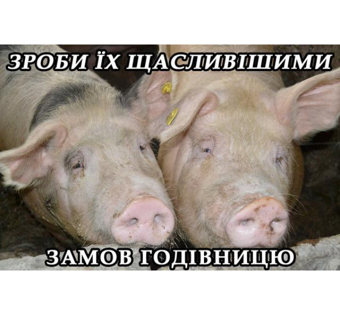 Кормушка для свиней, бункерная I-секционныя (1-10 голов)