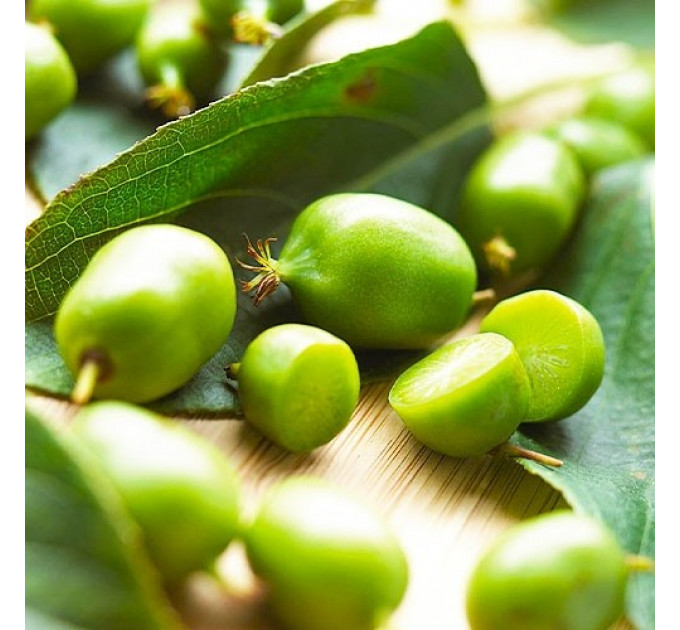 Актинидия аргута Фигурная 3 летняя, конт. 3 л