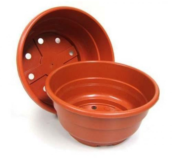 Горшок для хризантем 3.5 л 23*11, Donkwiat B3.5