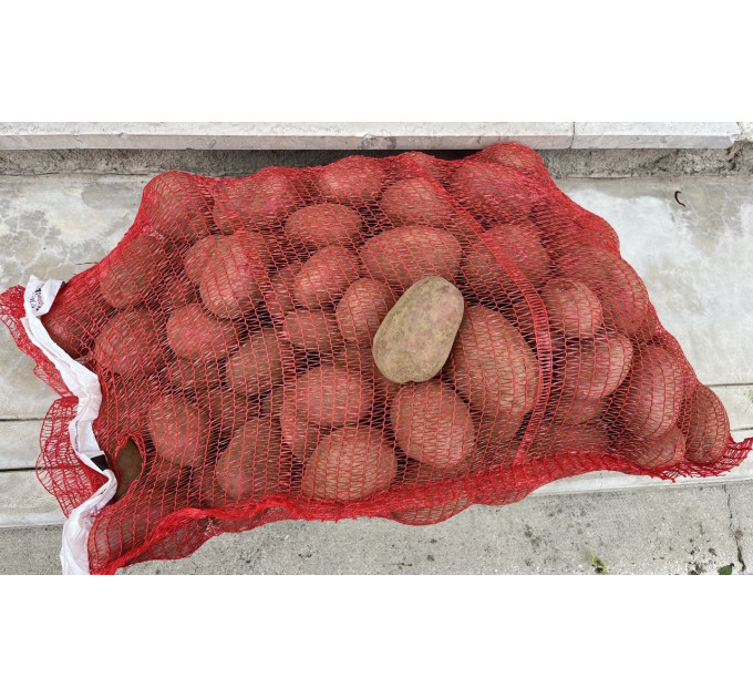 Семенной картофель Анна Роза (Anna Rosa) 70-90 дней, 2 репродукция