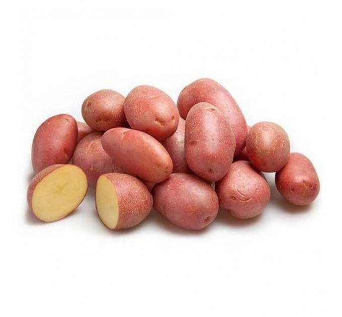 Семенной картофель Алюетт, 80-90 дней 2 репродукция