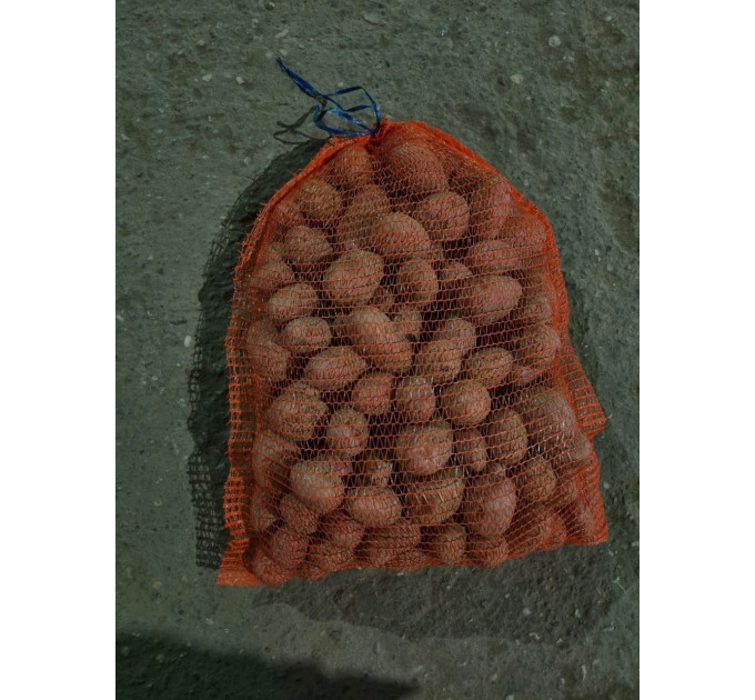 Семенной картофель Алюетт, 80-90 дней 2 репродукция