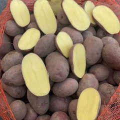 Семенной картофель Алюетт, 80-90 дней 2 репродукция