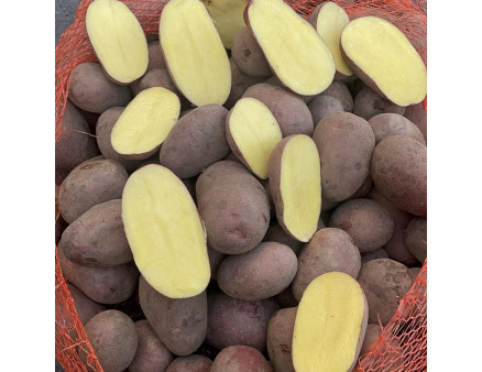 Семенной картофель Алюетт, 80-90 дней 2 репродукция