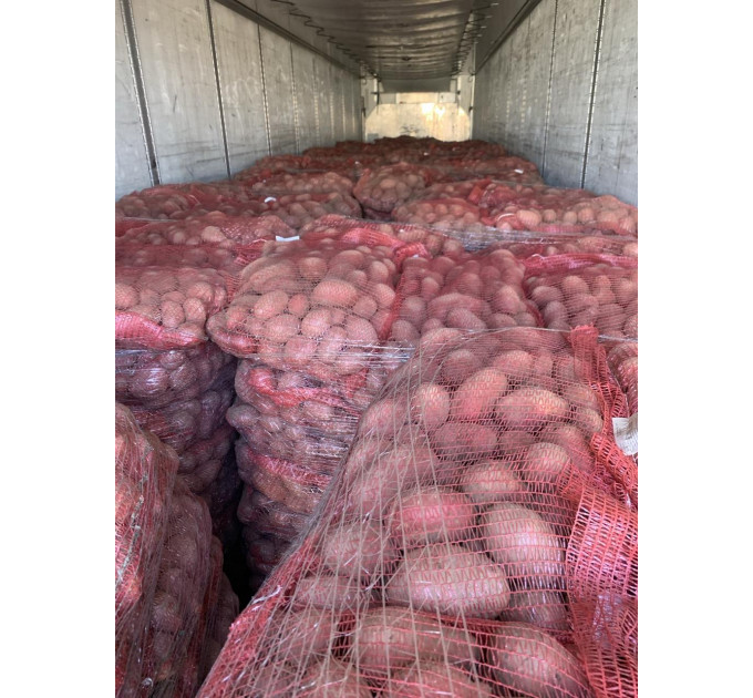 Семенной картофель Алюетт, 80-90 дней 2 репродукция