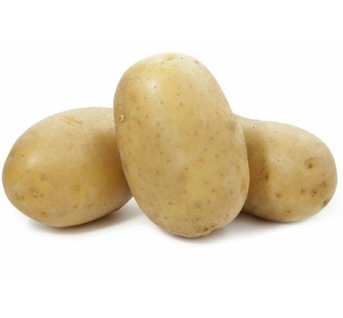 Насіннєва картопля Вега, 50-60 днів 2 репродукція