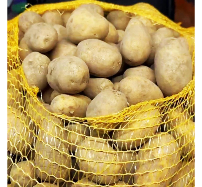 Насіннєва картопля Вега, 50-60 днів 2 репродукція