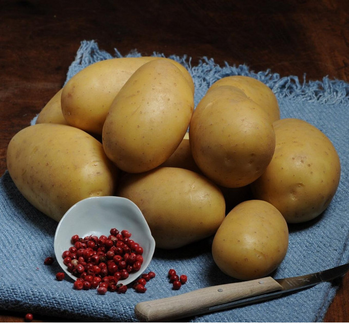 Семенной картофель Торения, 100-110 дней 2 репродукция