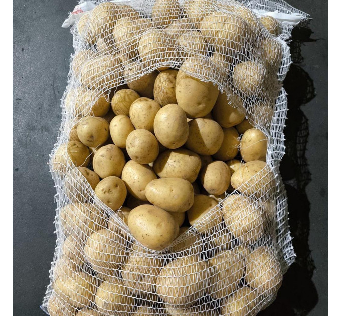 Семенной картофель Гала, 70-80 дней 2 репродукция