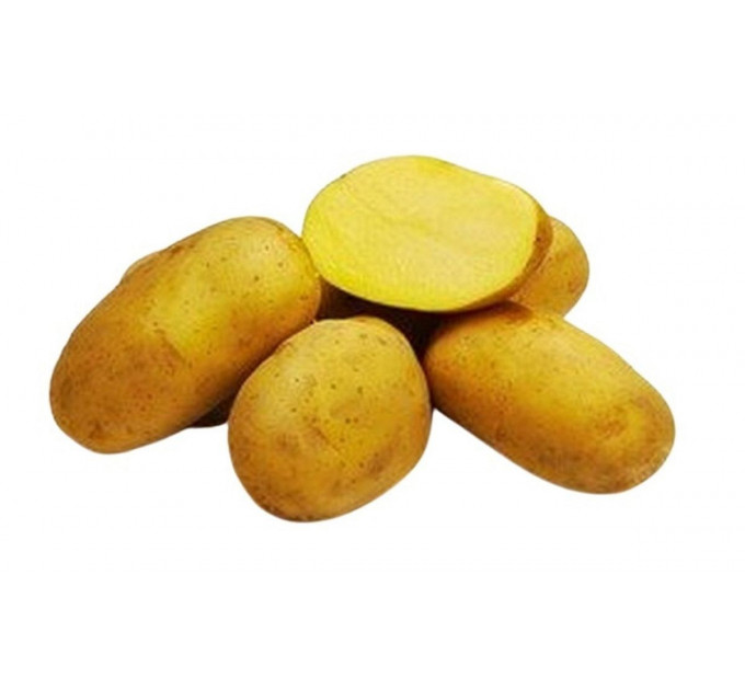 Семенной картофель Марабел (Marabel) 60-70 дней, 2 репродукция