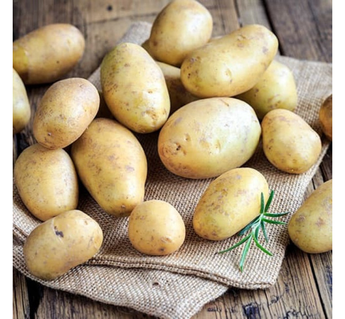 Семенной картофель Марабел (Marabel) 60-70 дней, 2 репродукция