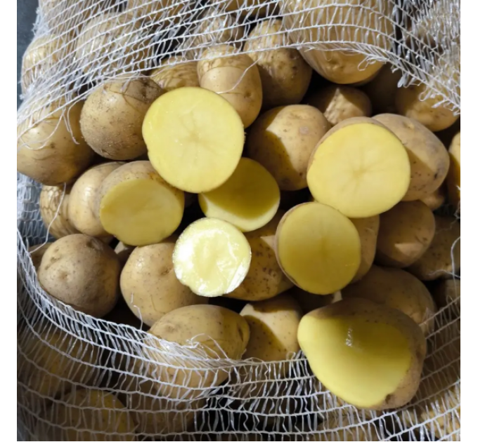 Семенной картофель Гала, 70-80 дней 2 репродукция