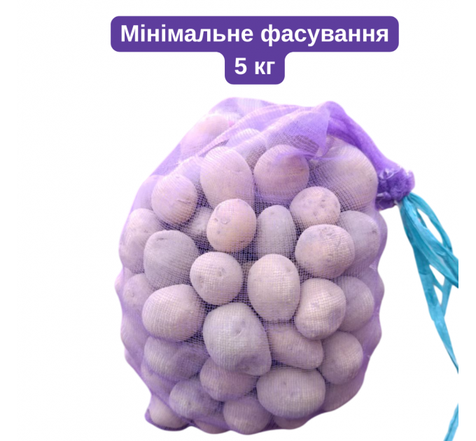 Семенной картофель Гала, 70-80 дней 2 репродукция