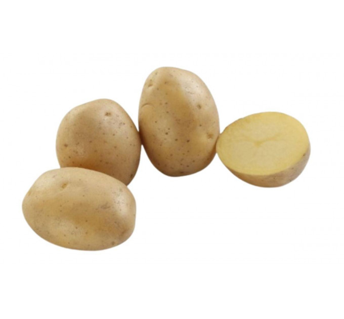 Семенной картофель Коломбо, 60-70 дней 2 репродукция