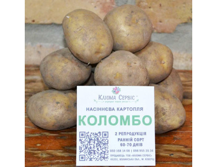 Семенной картофель Коломбо, 60-70 дней 2 репродукция