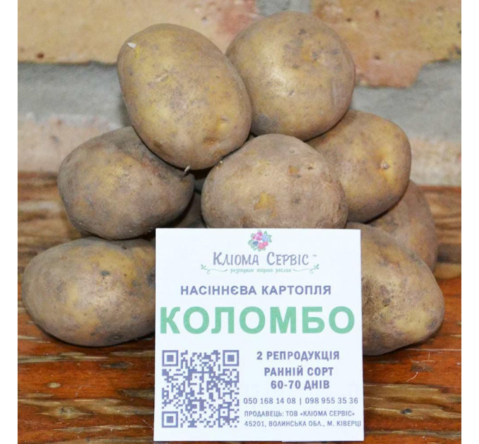 Семенной картофель Коломбо, 60-70 дней 2 репродукция