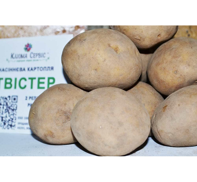 Семенной картофель Твистер, 60-70 дней 2 репродукция