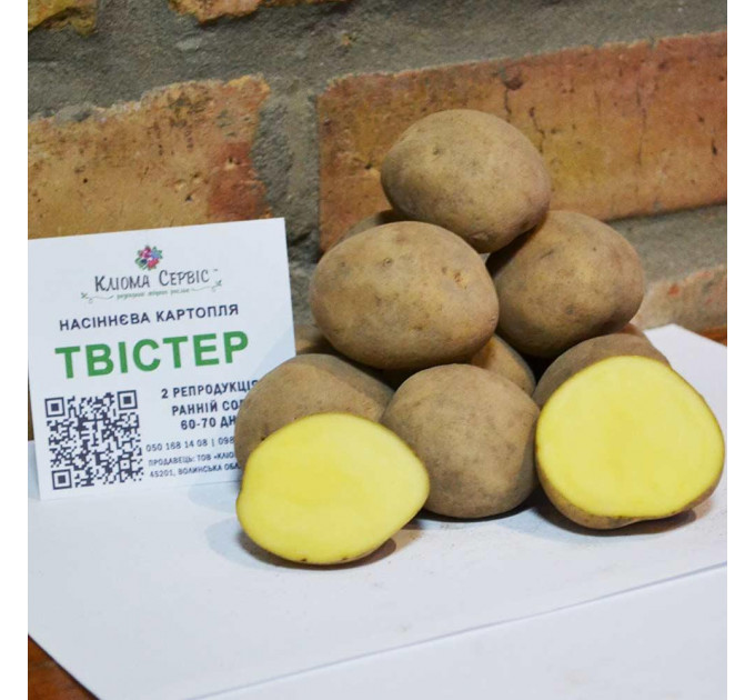 Семенной картофель Твистер, 60-70 дней 2 репродукция