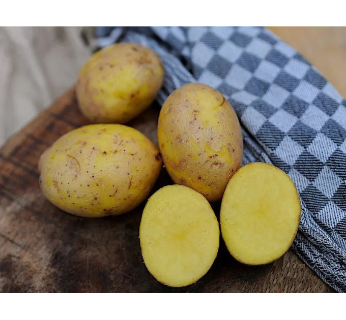 Семенной картофель Джуле (Jule) 80-90 дней, 2 репродукция