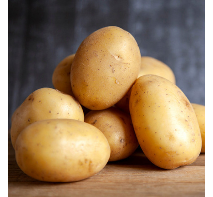 Семенной картофель Коринна, ультраранний 50-60 дней 2 репродукция