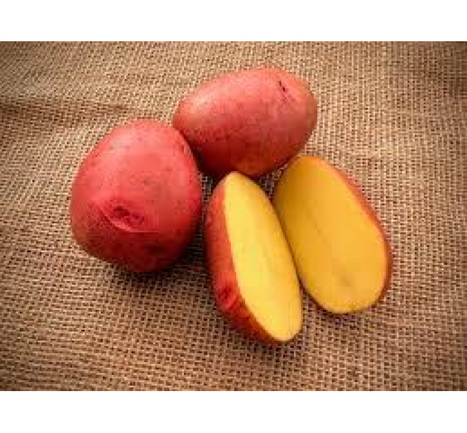 Семенной картофель Балтик Роуз, 60-90 дней 2 репродукция