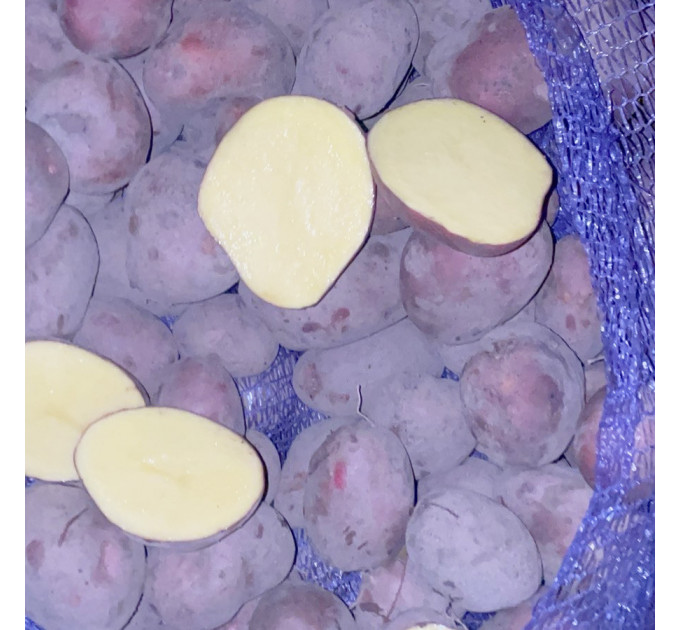 Семенной картофель Балтик Роуз, 60-90 дней 2 репродукция