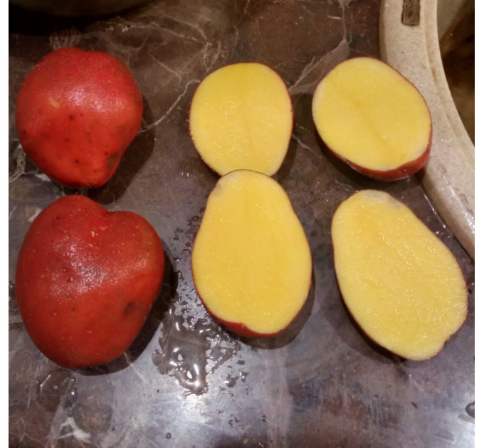 Семенной картофель Балтик Роуз, 60-90 дней 2 репродукция