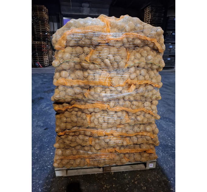 Семенной картофель Винета, 60-70 дней 2 репродукция