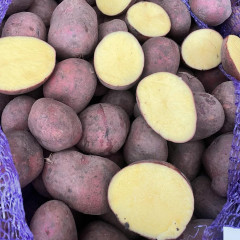 Семенной картофель Балтик Роуз, 60-90 дней 2 репродукция