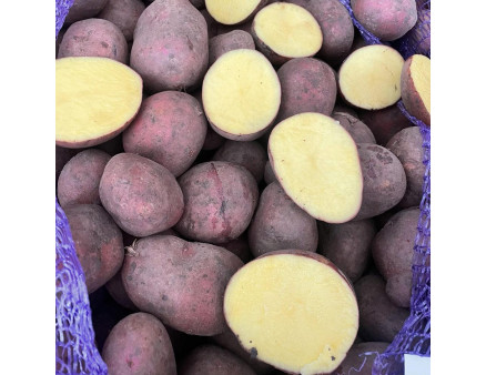 Семенной картофель Балтик Роуз, 60-90 дней 2 репродукция